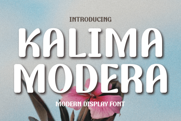 Kalima Modera Font for Web Design